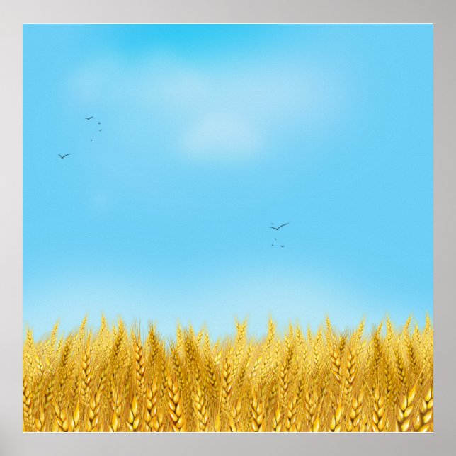Guld Wheat Fält Blå himmel Oljemålning, sommar Poster (Framsidan)