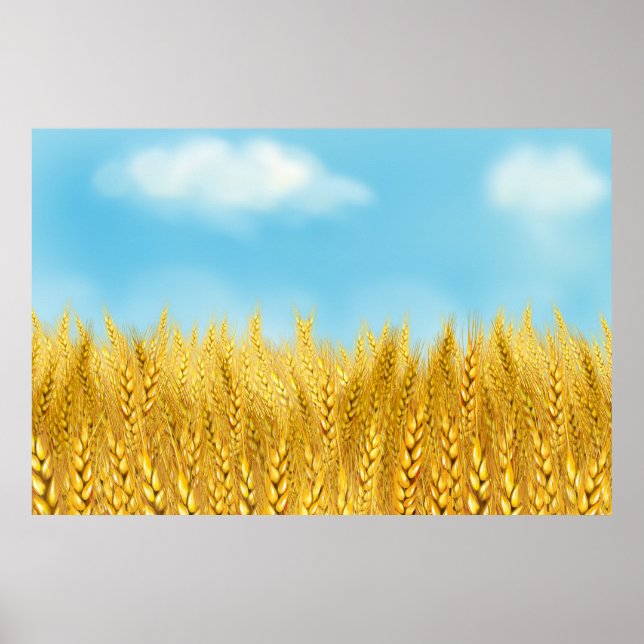 Guld Wheat Fält Blå himmel Oljemålning, sommar Poster (Framsidan)