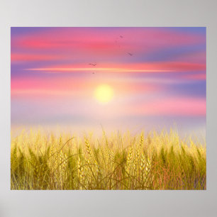 Guld Wheat Fält Sunset himlar Oljemålning, sommar Poster