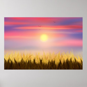 Guld Wheat Fält Sunset himlar Oljemålning, sommar Poster
