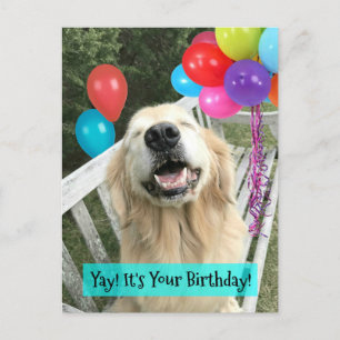 Guldbagge hund med ballonger födelsedag vykort