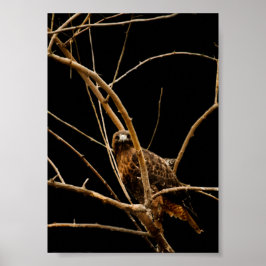 Guldbild Poster
