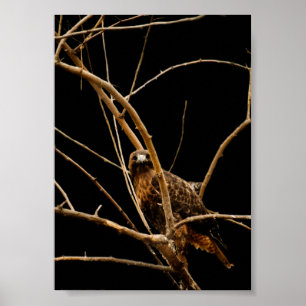 Guldbild Poster