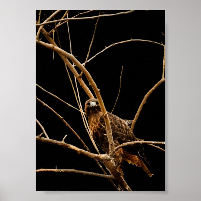 Guldbild Poster (Framsidan)