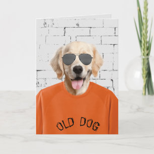 guldblöjor i orange t-shirt kort