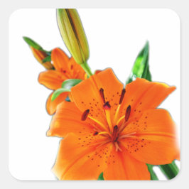 Guldblommor Fyrkantigt Klistermärke