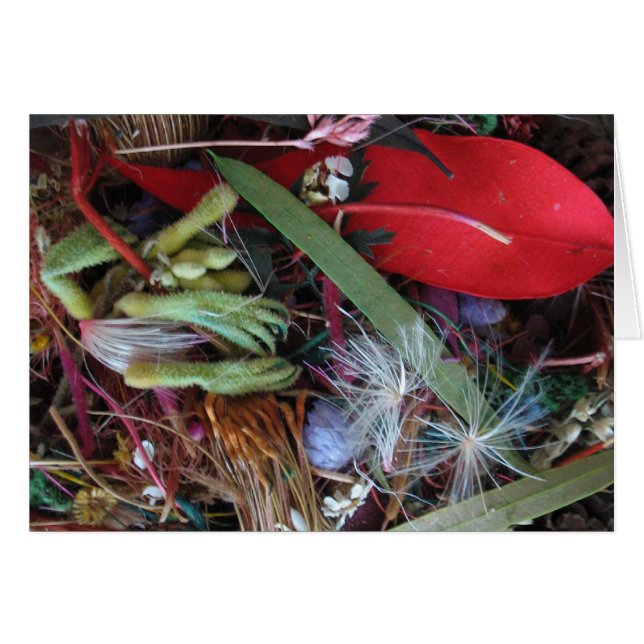 Guldblommor Hälsningskort (Framsidan Horizontal)