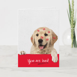 Gulden Retriever-kyssar Valentine Kort