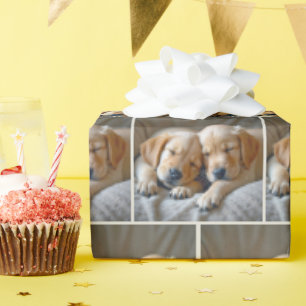 Gulden Retriever-valpar Sleeping Presentpapper