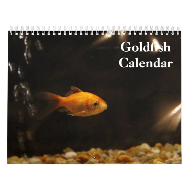 Guldfisk 2025 kalender (Omslag)