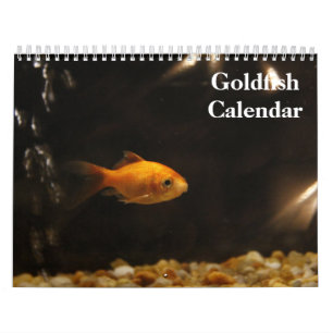 Guldfisk 2025 kalender