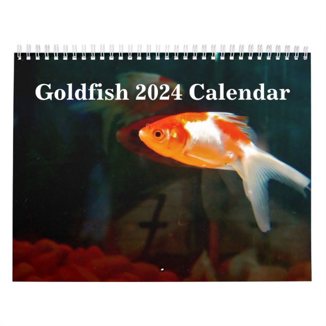 Guldfisk 2025 kalender (Omslag)