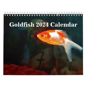 Guldfisk 2025 kalender