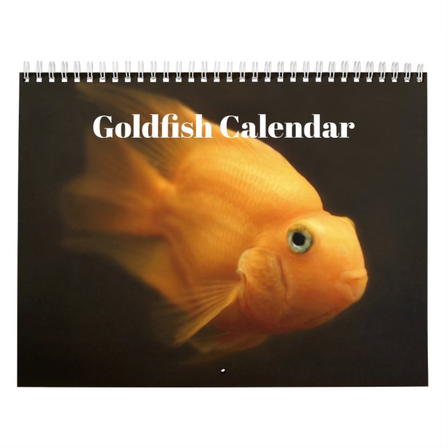 Guldfisk 2025-kalender kalender (Omslag)