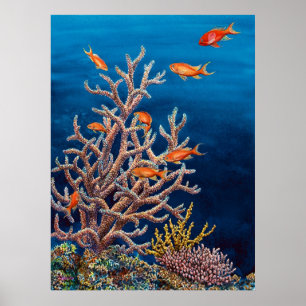Guldfisk av havet poster
