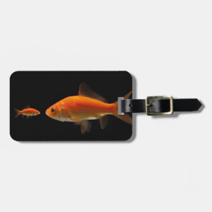 Guldfisk Bagagebricka