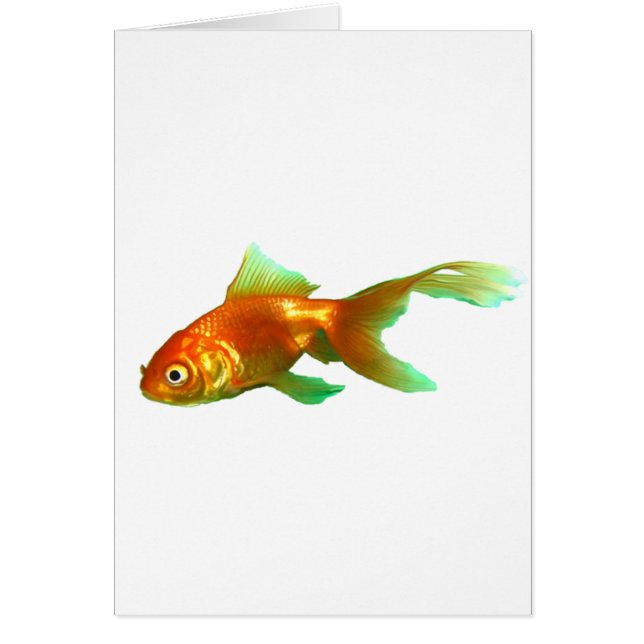 Guldfisk från finare svan hälsningskort (Framsidan)