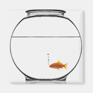 Guldfisk i bunke magnet