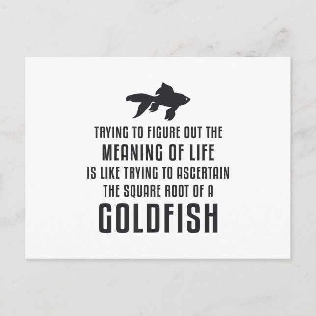 Guldfisk: Life Goldfish Retro Funny Fish Vykort (Framsida)