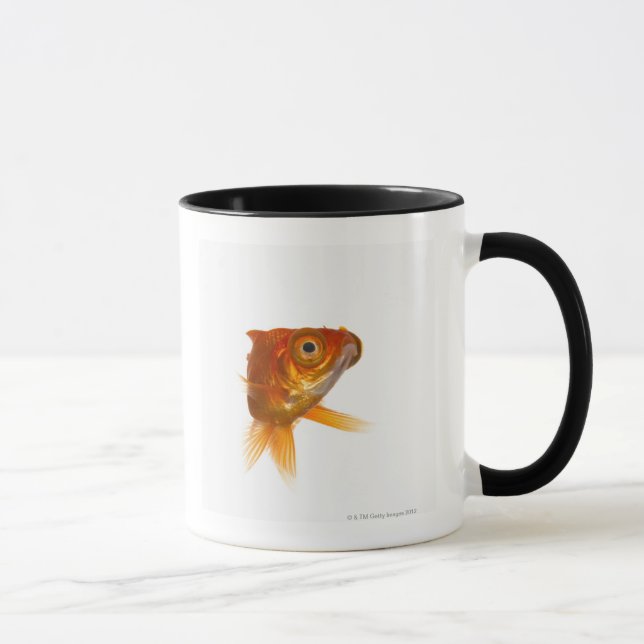 Guldfisk med stora ögon 3 mugg (Höger)