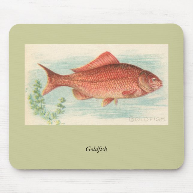 Guldfisk Musmatta (Framsidan)