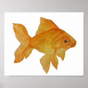 Guldfisk Poster