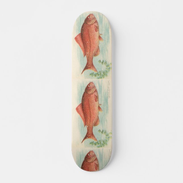 Guldfisk Skateboard Bräda 20,5 Cm (Framsida)