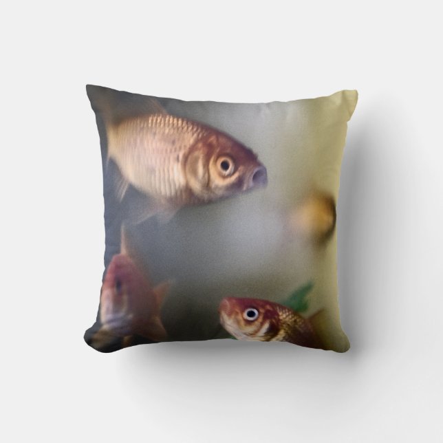 Guldfisken kudder kudde (Framsida)