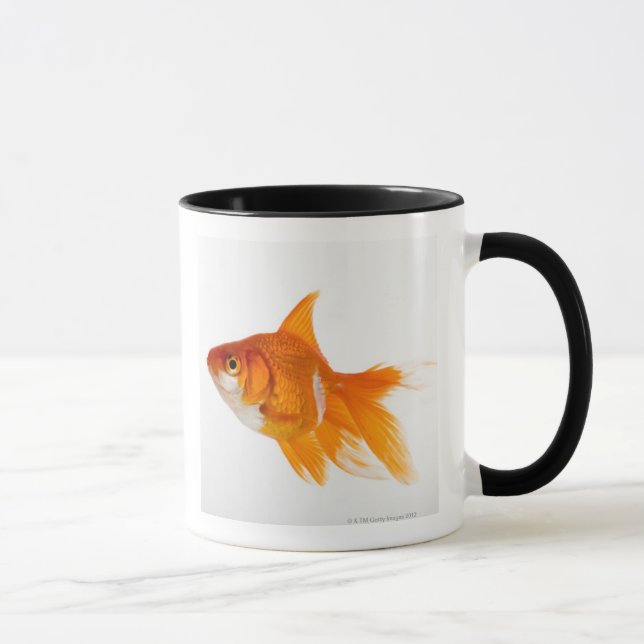 Guldfisken sida beskådar mugg (Höger)