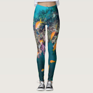 Guldguldabborre Anthias Leggings