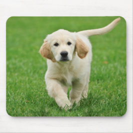 Guldhäftningsdockor Musmatta