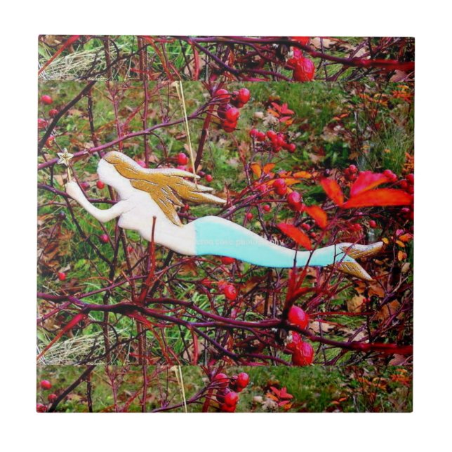 guldhårstrumma, sjöjungfru kakelplatta (Framsidan)