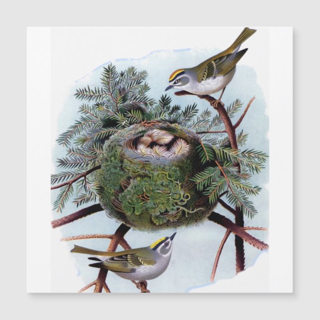 Guldkröda kungar (Framsida)