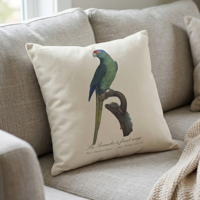 Guldkronad parakit, Eupsittula Canicularis Kudde (Orange-Fronted Parakeet, Eupsittula Canicularis. Throw Pillow)