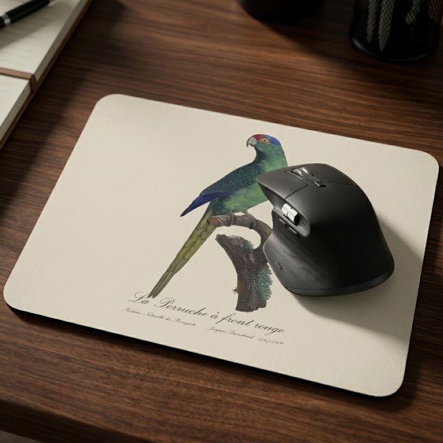 Guldkronad parakit, Eupsittula Canicularis Musmatta (Orange-Fronted Parakeet, Eupsittula Canicularis. Mouse Pad)