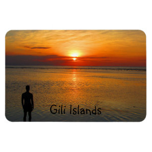 guldöarnas solvy magnet