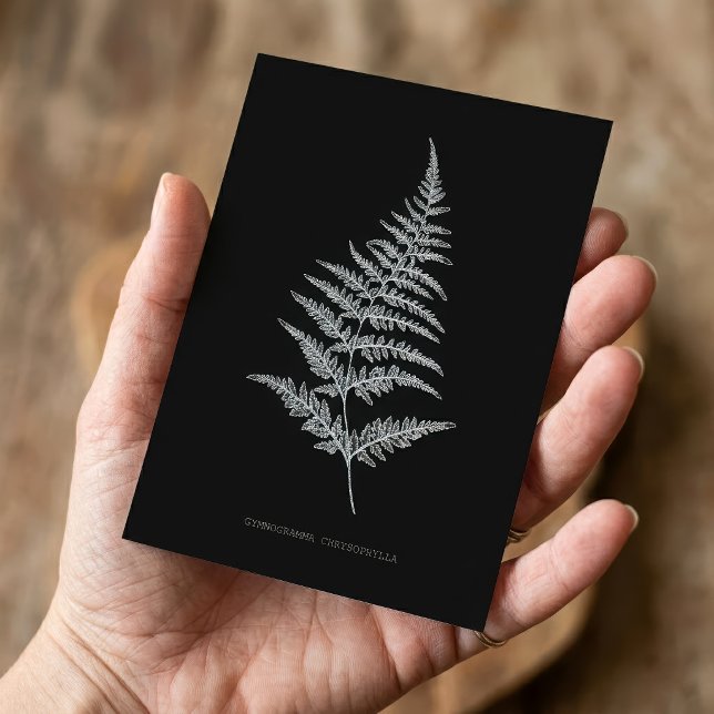 Guldormbunksfjäder, Gymnogramma Chrysophylla Anteckningskort (Golden Fern Frond, Gymnogramma Chrysophylla. Note Card)