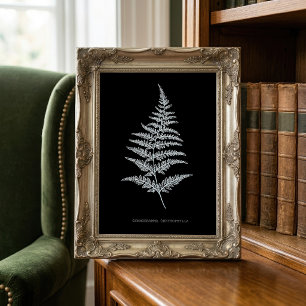 Guldormbunksfjäder, Gymnogramma Chrysophylla Fototryck
