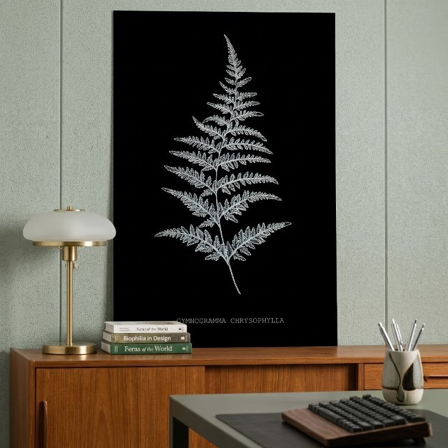 Guldormbunksfjäder, Gymnogramma Chrysophylla Poster (Golden Fern Frond, Gymnogramma Chrysophylla. Poster)