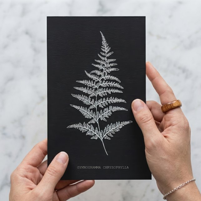 Guldormbunksfjäder, Gymnogramma Chrysophylla Vykort (Golden Fern Frond, Gymnogramma Chrysophylla. Postcard)