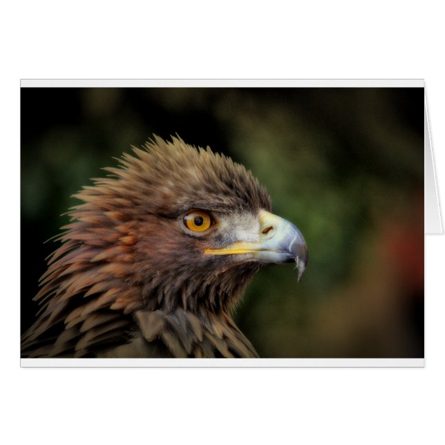 guldörn hälsningskort (Framsidan Horizontal)