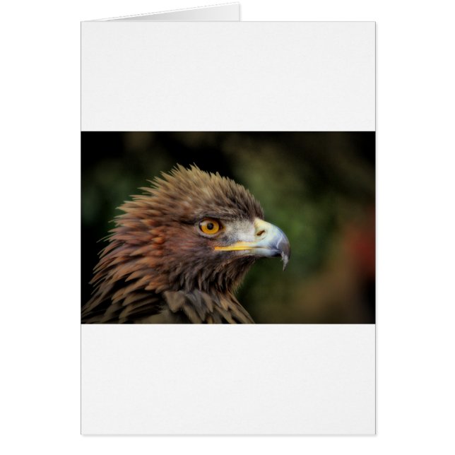 guldörn hälsningskort (Framsidan)