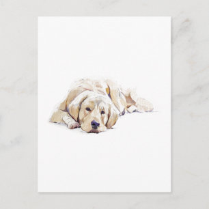 Guldpäls Retriever Hund Postkort Hundälskare Prese Vykort