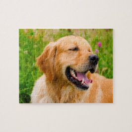 Guldpäls retriever Hund . Pussel