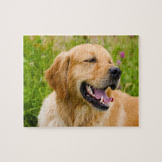 Guldpäls retriever Hund . Pussel (Horisontell)