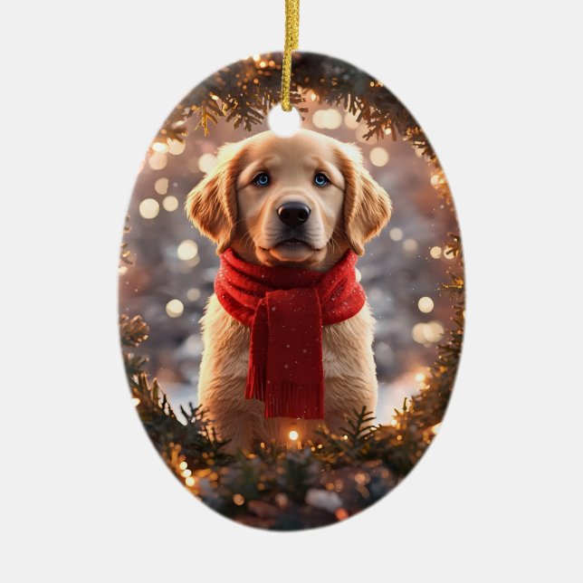 Guldpäls Retriever Julgranskula (Framsidan)