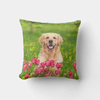 Guldpäls retriever kastkudde kudde