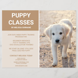 Guldpäls Retriever Valp Foto Anpassade Valp Klasse Reklamblad