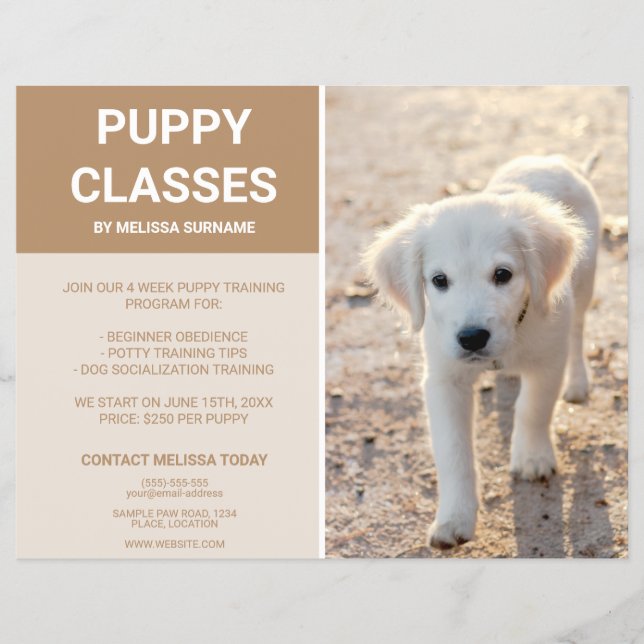 Guldpäls Retriever Valp Foto Anpassade Valp Klasse Reklamblad (Framsidan)