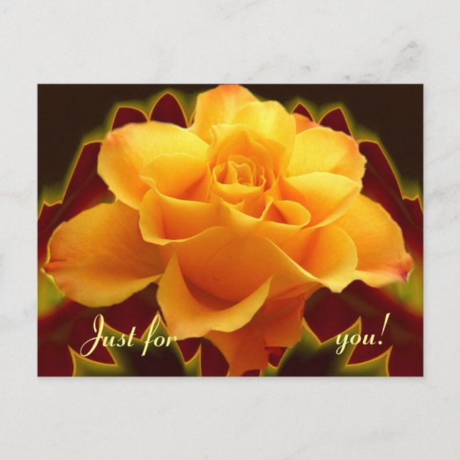 Guldros på stiliserat blad vykort (Framsida)